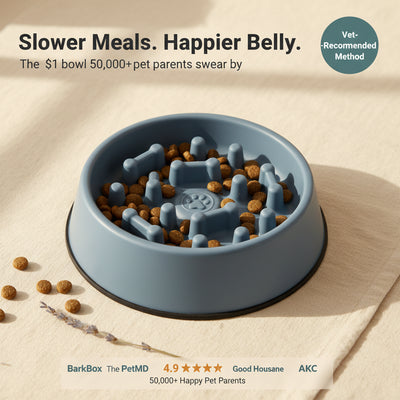 Pet Slow Food Bowl