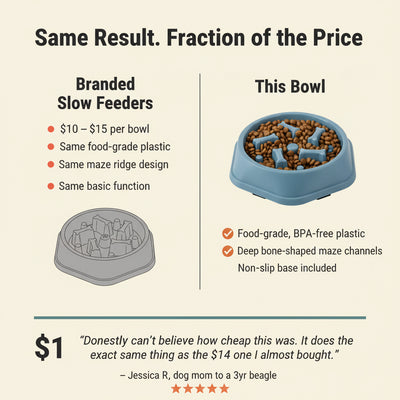 Pet Slow Food Bowl