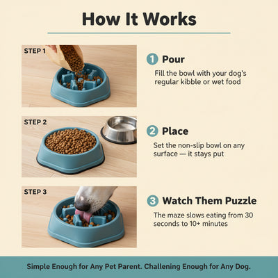 Pet Slow Food Bowl