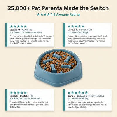 Pet Slow Food Bowl
