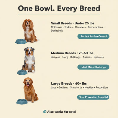 Pet Slow Food Bowl