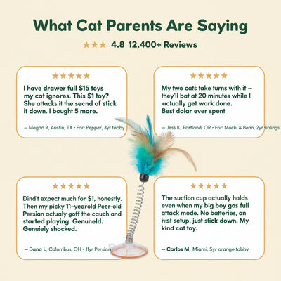 Cat Interactive Bird Toy