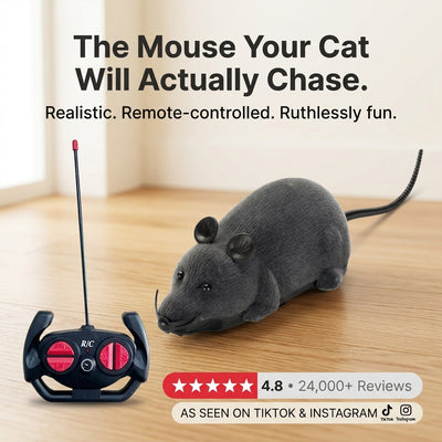 Remote Control Robot Mouse