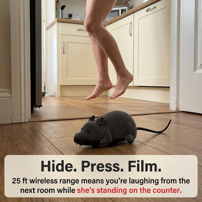 Remote Control Robot Mouse