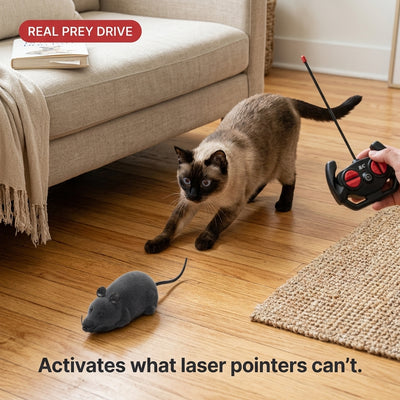 Remote Control Robot Mouse