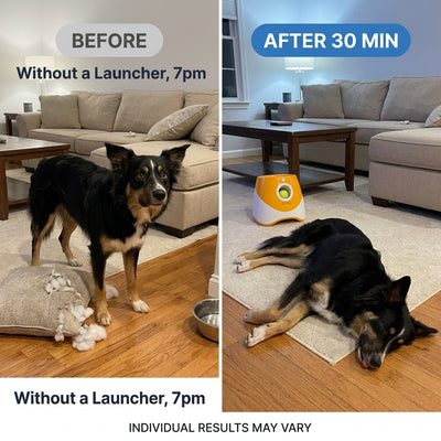 Dog Ball Launcher
