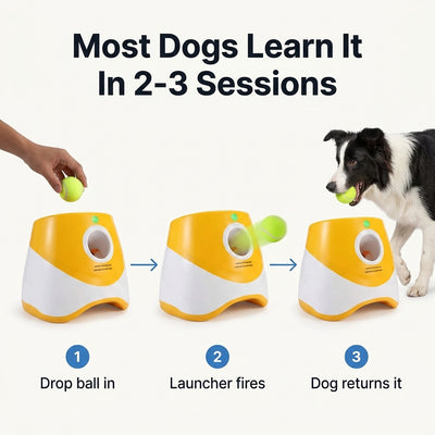 Dog Ball Launcher