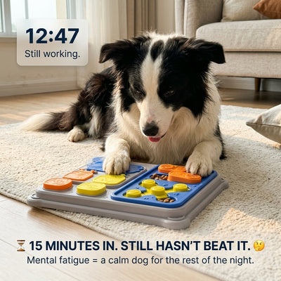 Dog Puzzle Toy Feeder