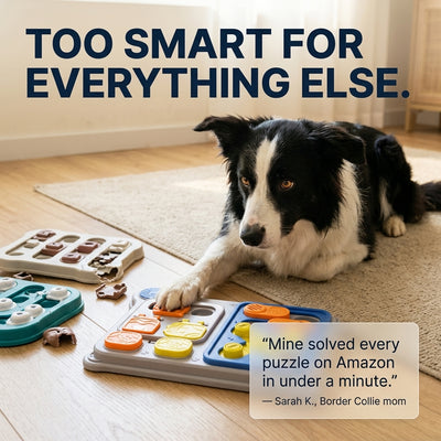 Dog Puzzle Toy Feeder