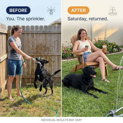 Dog Water Fountain Sprinkler