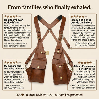 Ventra™ Anti-theft Harness