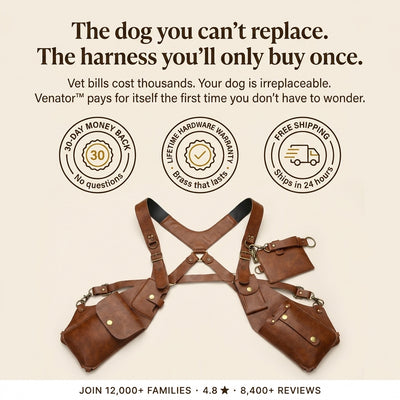 Ventra™ Anti-theft Harness