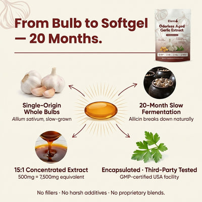 Aged Garlic Extract - 7500mg Odorless Softgels