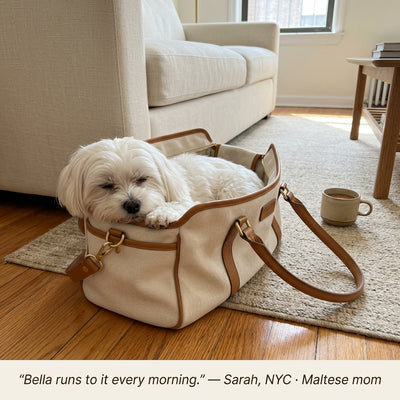 Ventra™ Dog Tote Bag