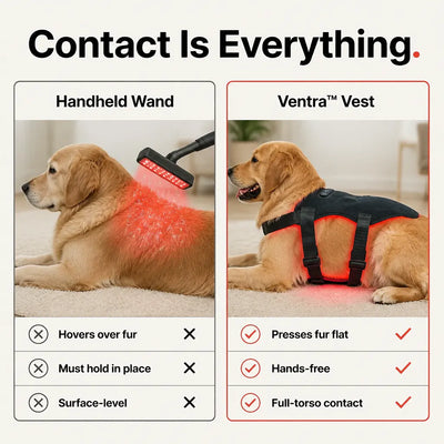 Ventra - Red Light Therapy Vest for Pets