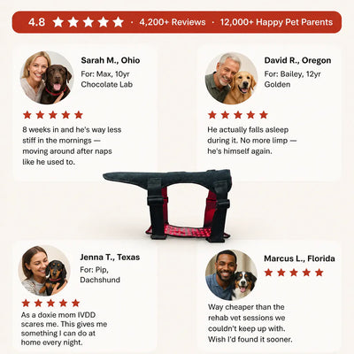 Ventra - Red Light Therapy Vest for Pets