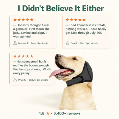 Premium Dog Cancelling Headphones