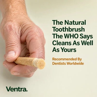 Natural Miswak Whitening Stick