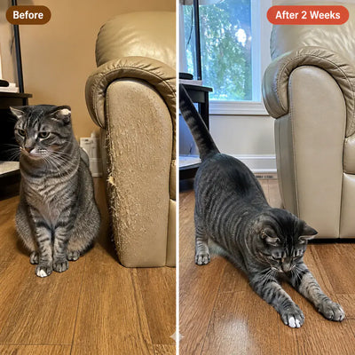 PawFile - Self-Filing Cat Nail Toy