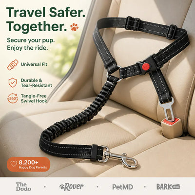 SafeRide - Bungee Dog Car Seat Belt