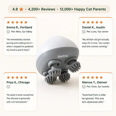 PurrSpa - Electric Cat Head Massager
