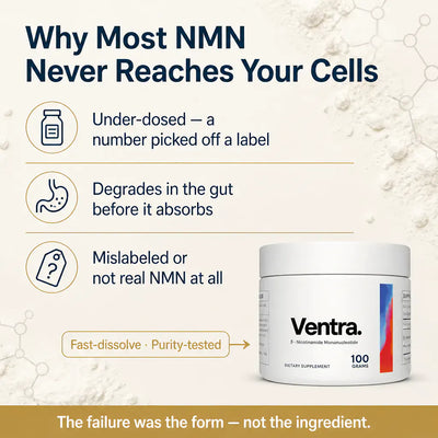 Ventra - NMN Powder Supplement