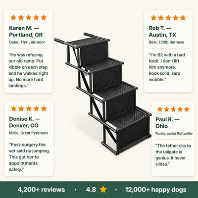 PupRamp 4-Step - Folding Dog Car Stairs