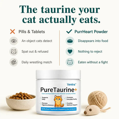 PurrHeart - Taurine Powder for Cats