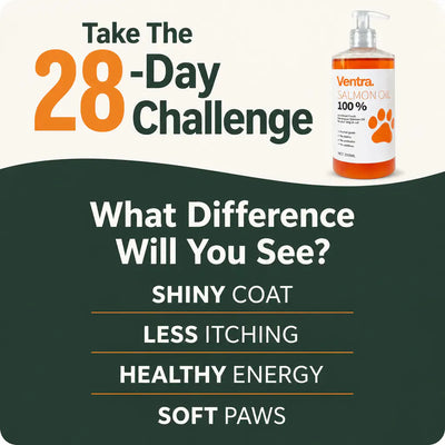 WildCoat - Pure Salmon Oil for Dogs