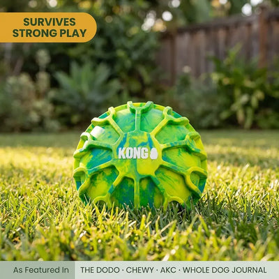 KONG The Ultimate Dog Ball