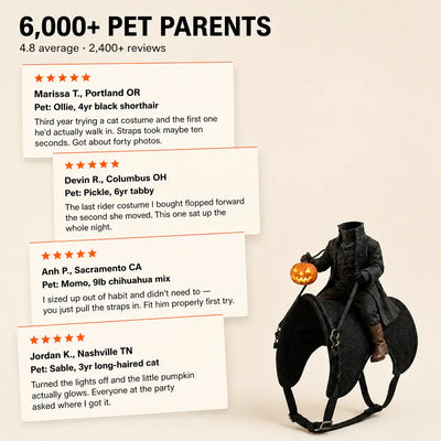 The Headless Rider - Pet Halloween Costume