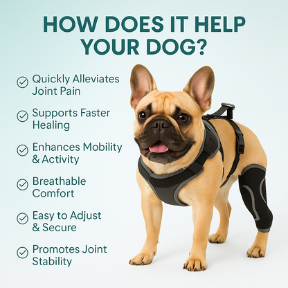 Ventra™ Premium Dog Knee Support Brace