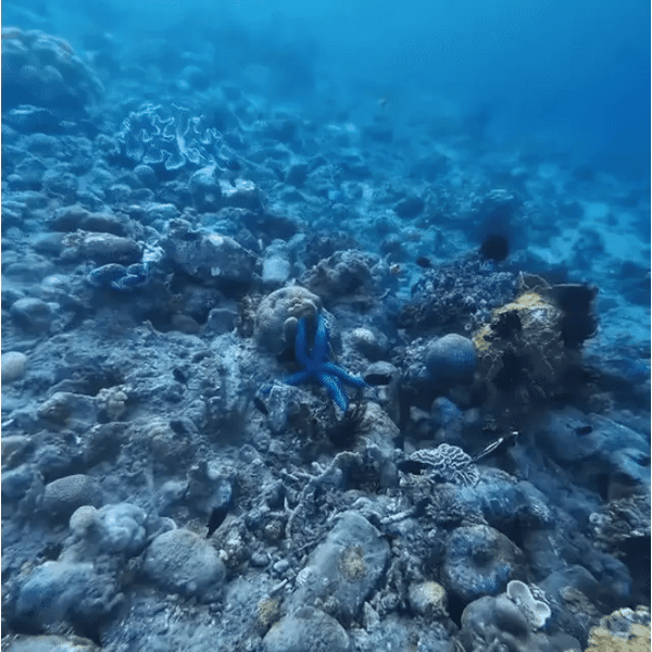 Ready To **Dive In?**