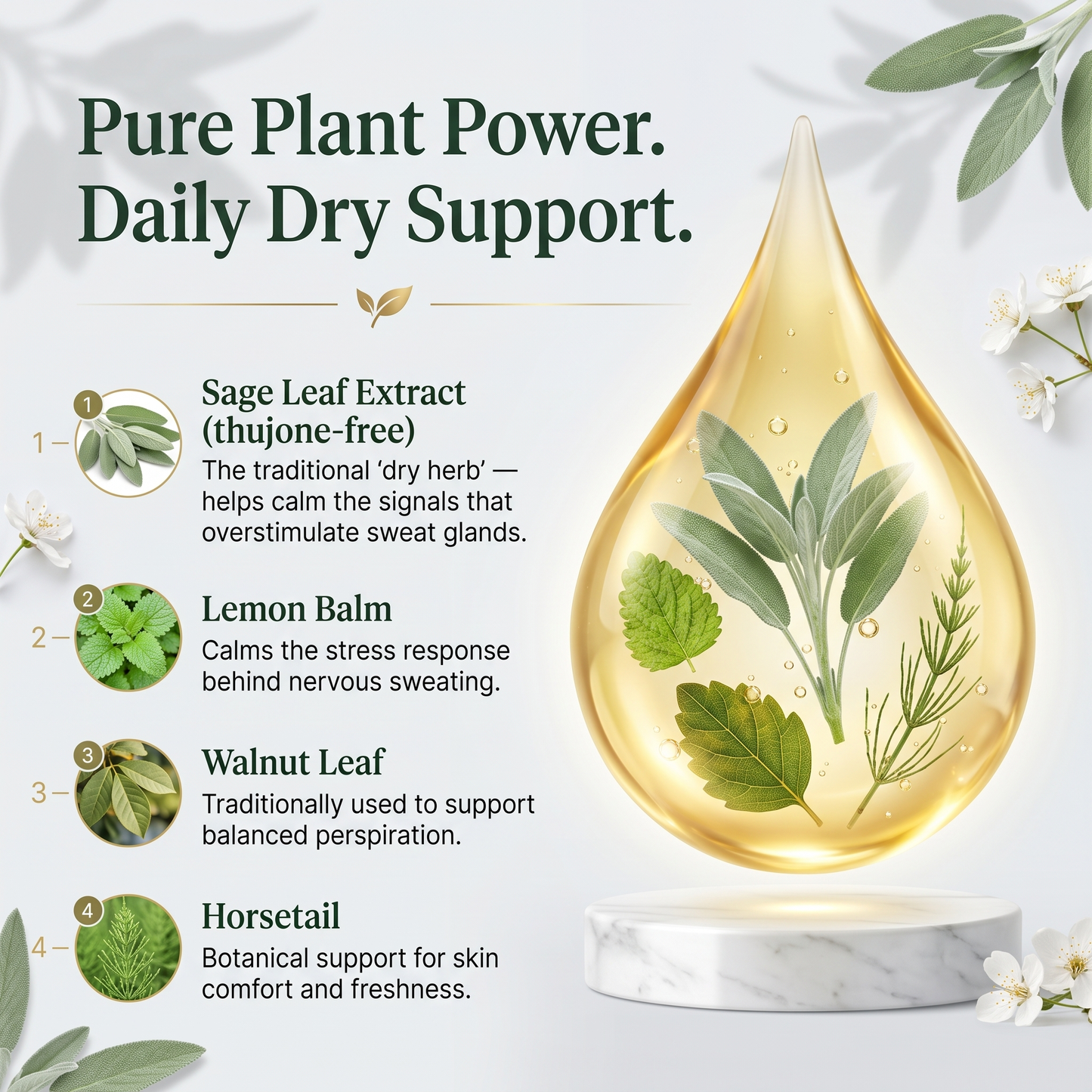 Stay Dry - Anti-SweatSage & Salvia Drops