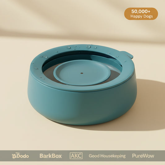 KIMPET Suspended Pet Bowl