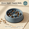 Pet Slow Food Bowl