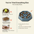 Pet Slow Food Bowl