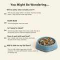 Pet Slow Food Bowl