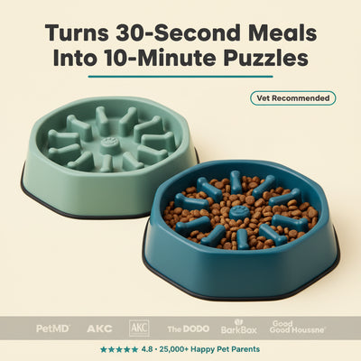 Pet Slow Food Bowl