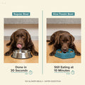 Pet Slow Food Bowl