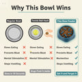 Pet Slow Food Bowl