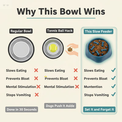 Pet Slow Food Bowl
