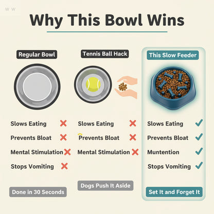 Pet Slow Food Bowl
