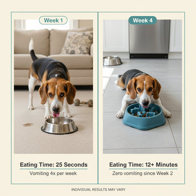 Pet Slow Food Bowl