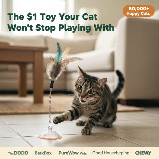 Cat Interactive Bird Toy