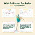 Cat Interactive Bird Toy