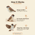 Interactive Flapping Bird Cat Toy