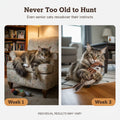 Interactive Flapping Bird Cat Toy