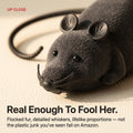 Remote Control Robot Mouse