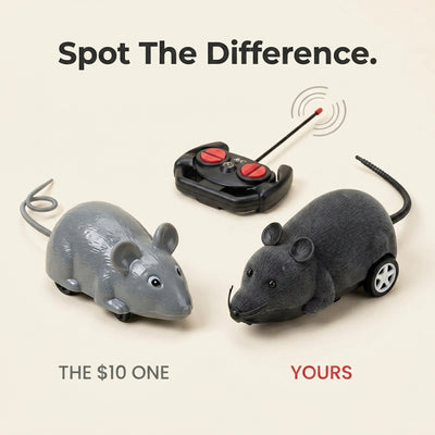 Remote Control Robot Mouse